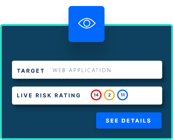 Informer Platform Web Application Risk Rating